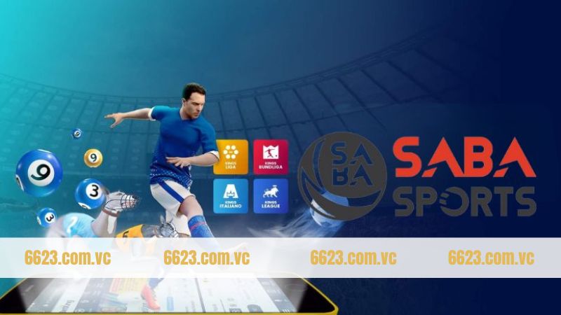 Điểm nổi trội thu h&uacute;t th&agrave;nh vi&ecirc;n của Saba sports